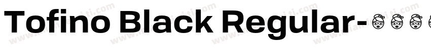 Tofino Black Regular字体转换